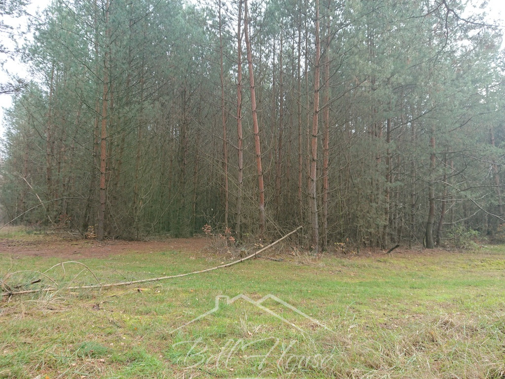 Działka Sprzedaż Starzyce 1