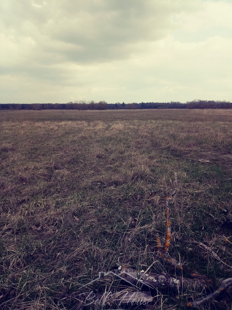 Działka Sprzedaż Łęgi 1