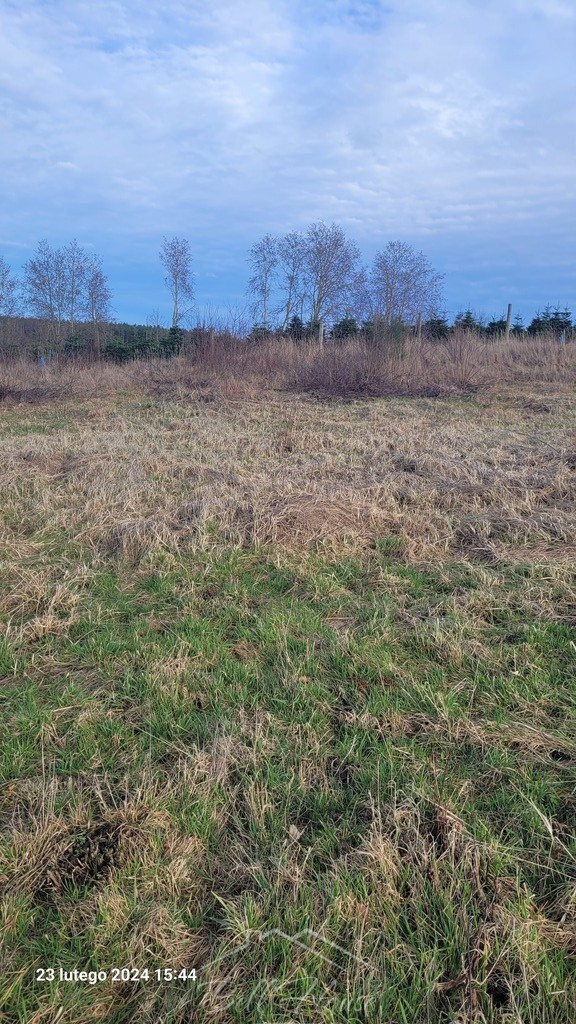 Działka Sprzedaż Zieleniewo 5