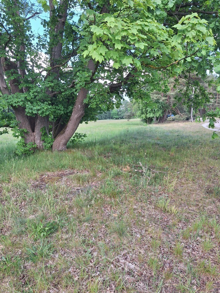 Działka Sprzedaż Tanowo Szczecińska 8
