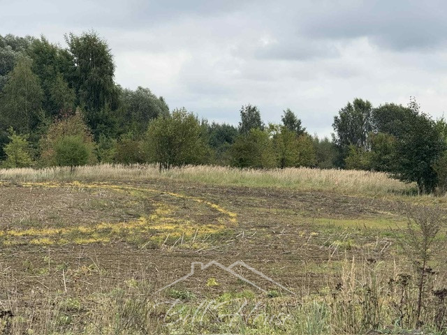 Działka Sprzedaż Stara Dąbrowa 4