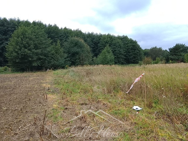 Działka Sprzedaż Stara Dąbrowa 18