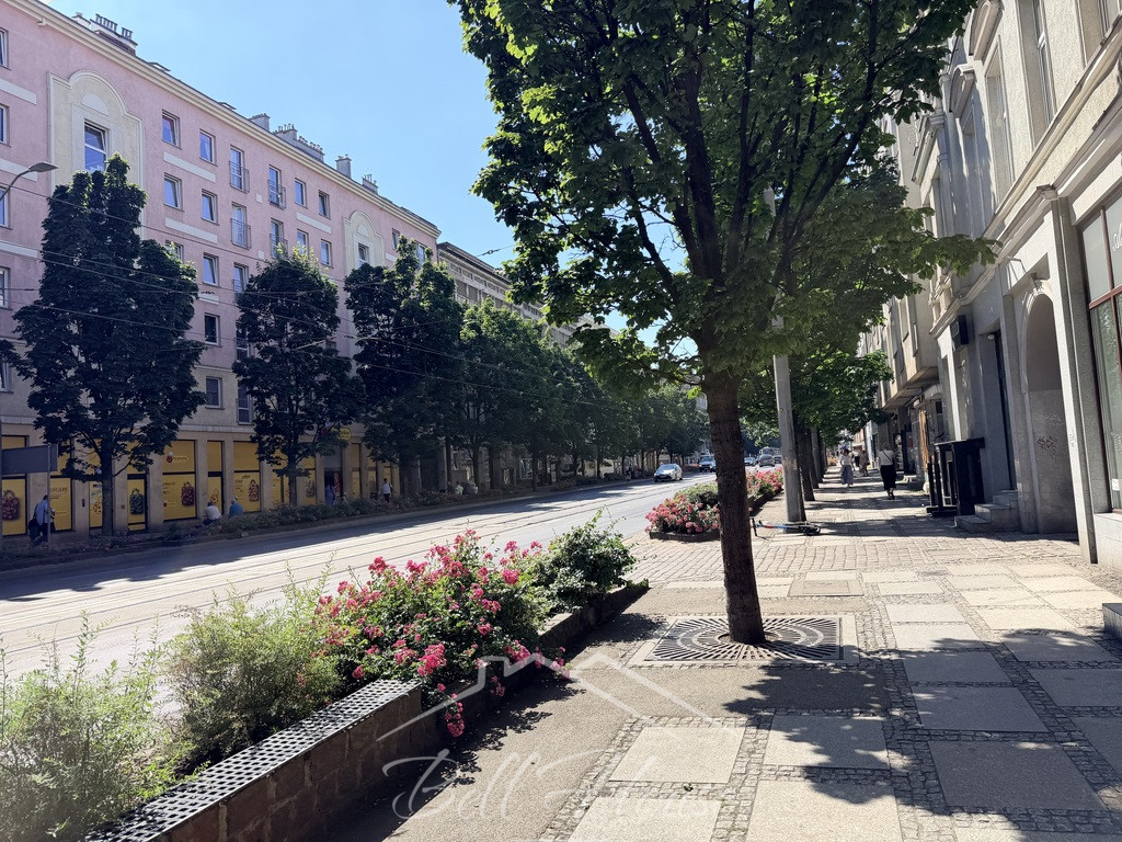 Lokal Sprzedaż Szczecin Centrum 8