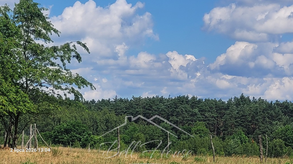 Działka Sprzedaż Wiśniewo 1