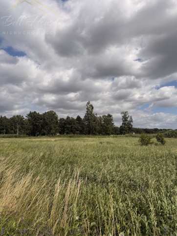 Działka Sprzedaż Niedźwiedź 8