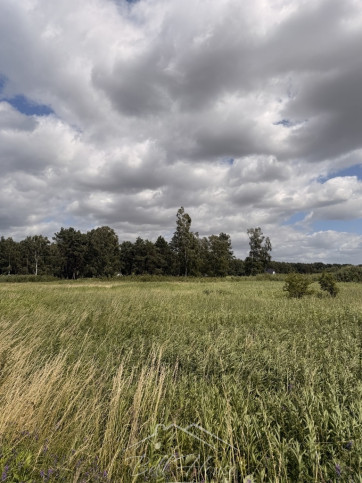 Działka Sprzedaż Niedźwiedź 8