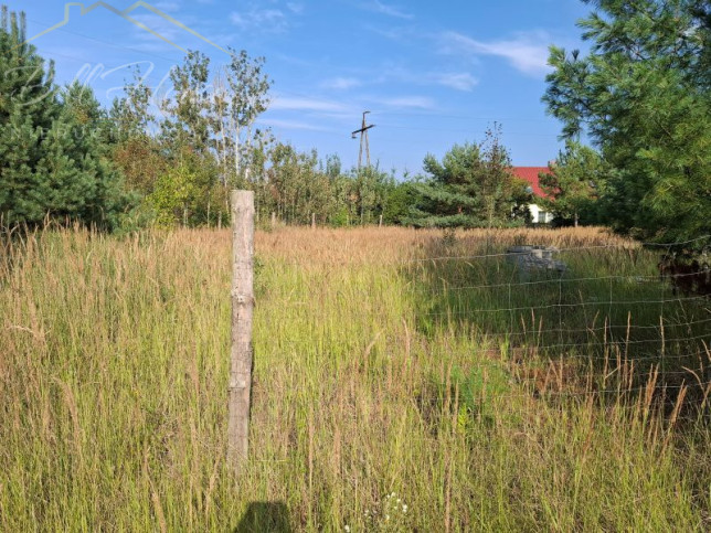 Działka Sprzedaż Łęgi 1