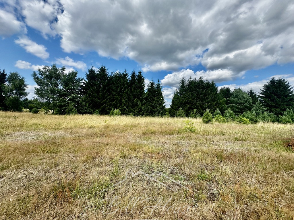 Działka Sprzedaż Goleniów 3