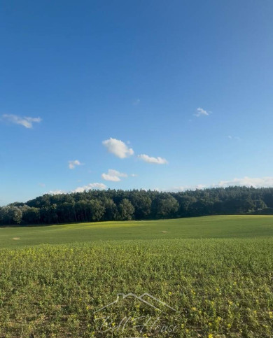 Działka Sprzedaż Buk 2