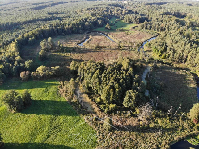 Działka Sprzedaż Goleniów 4