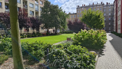 Mieszkanie Sprzedaż Szczecin Śródmieście-Centrum Potulicka