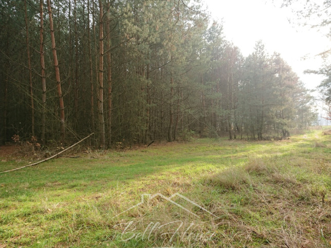 Działka Sprzedaż Starzyce 4