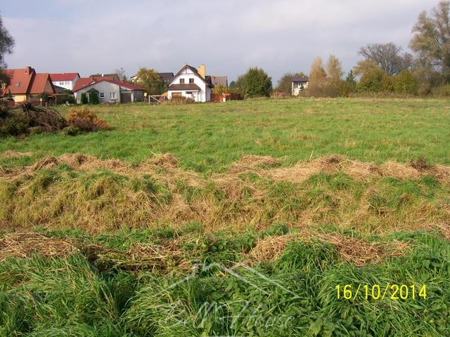 Działka Sprzedaż Choszczno 4