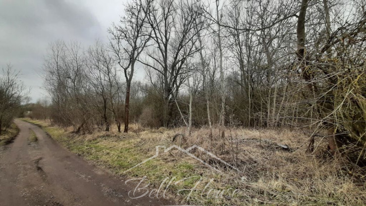 Działka Sprzedaż Karwowo 5