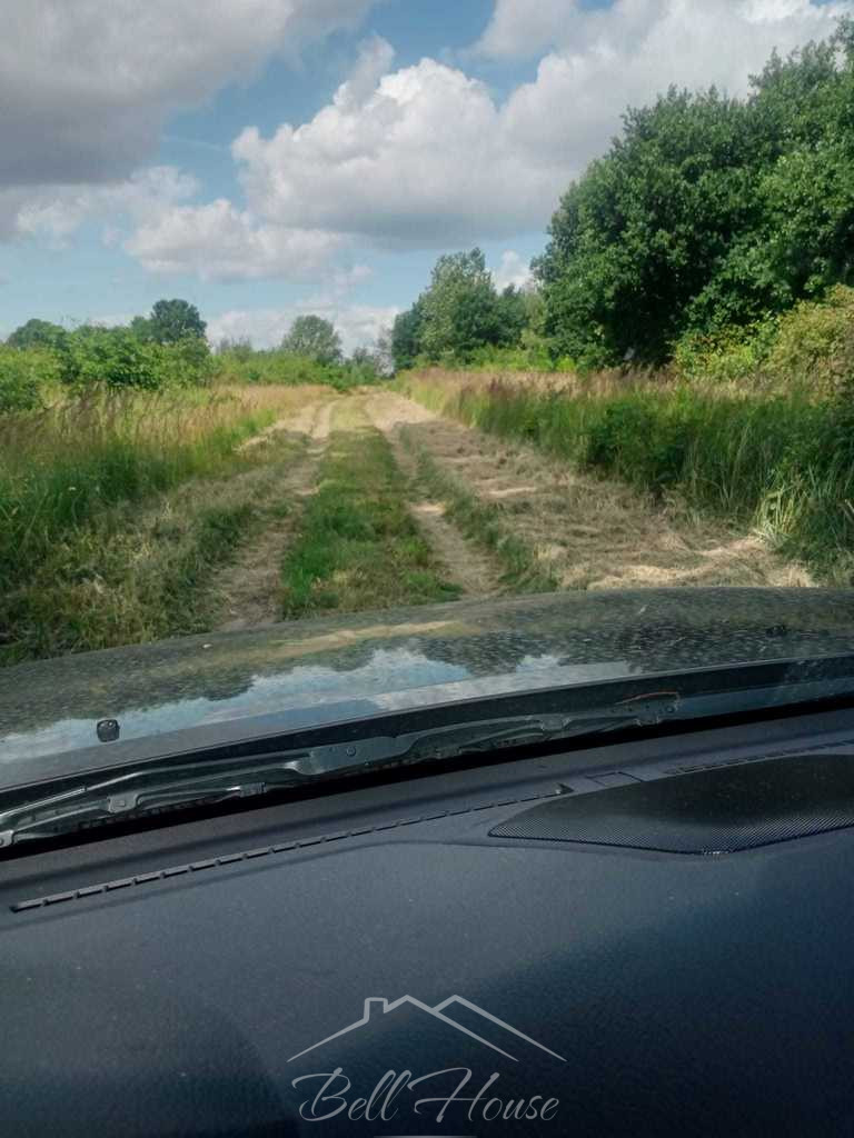 Działka Sprzedaż Stara Dąbrowa 2