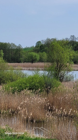 Działka Sprzedaż Zieleniewo 3
